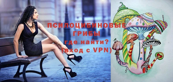стафф Семилуки