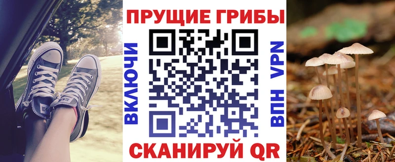 ссылка на мегу ТОР Карабулак Псилоцибиновые грибы GOLDEN TEACHER цены